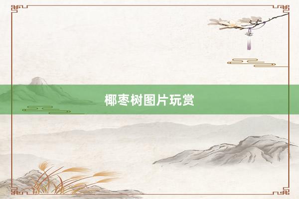 椰枣树图片玩赏