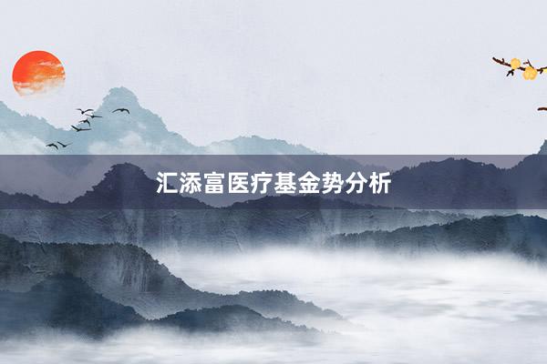 汇添富医疗基金势分析